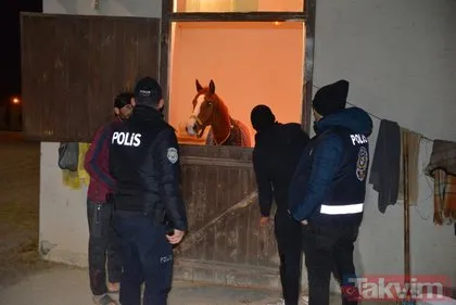 Adana Hipodromunda hava destekli dev operasyon! 751 polis katıldı