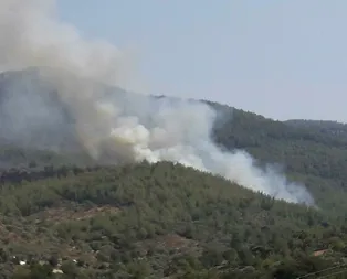 Muğlada orman yangını