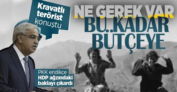 Son dakika: HDP’li Mithat Sancar’ın sınır ötesi operasyon hazımsızlığı! PKK eridikçe HDP ağlıyor