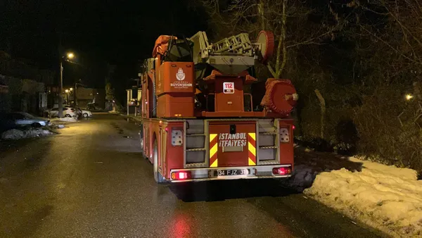 istanbulda-ahir-yandi-10-hayvan-telef-oldu-fareler-kablolari-yemis-olabilir-1647401646168.jpg İstanbul'da ahır yandı 10 hayvan telef oldu! Fareler kabloları yemiş olabilir-2