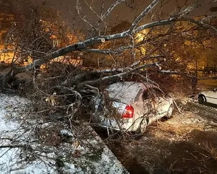 Aksaray’da etkili olan kar yağışı ağaçları devirdi