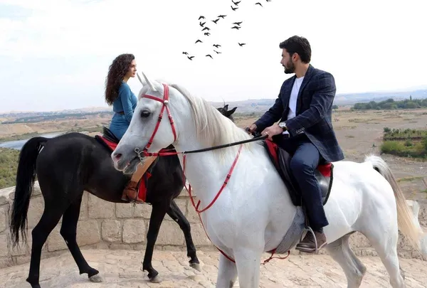 Hercai Şili'de rakip tanımıyor! Reytingleri alt üst oldu-1