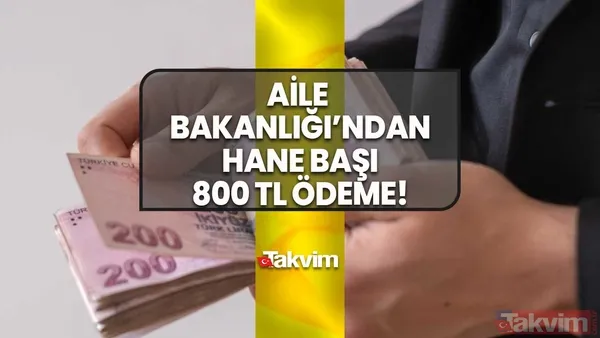 7'den 77'ye herkese 12 ay boyunca destek! Aile Bakanlığı 800 TL ödeme yapacak! 5 dakikada onay alan ATM'den çekecek! 1-2-3-4-5 kişilik hane başına... - 1