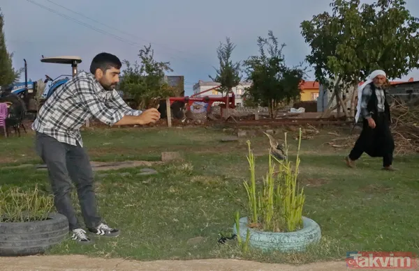 Türkiye'de ilk! Şanlıurfa'da 'yeşil sırtlı balıkçıl' görüldü - 4