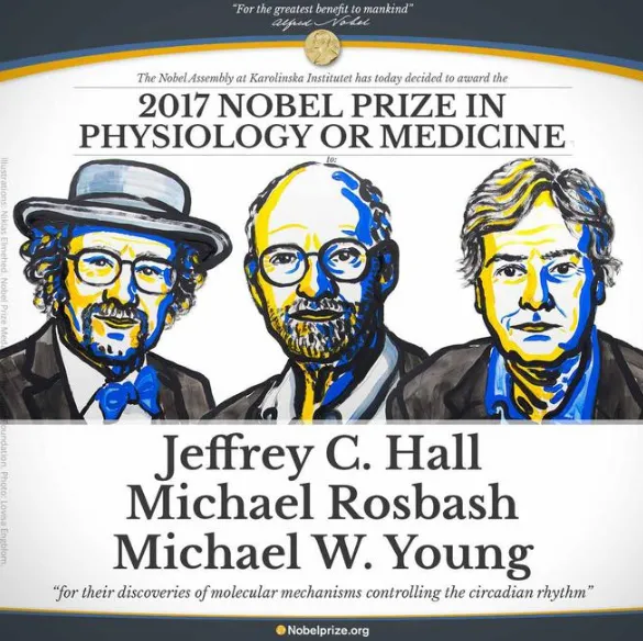 Nobel Tıp Ödülü'nü kazananlar belli oldu!-1
