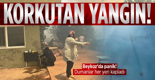 Beykoz'da orman yangını! Kısa sürede kontrol altına alındı