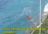 Kuşadası'ndan pis kokular geliyor! CHP'li Kuşadası Belediyesi konuya sessiz...
