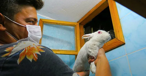 5 gundur kaybolan tavsan dustugu