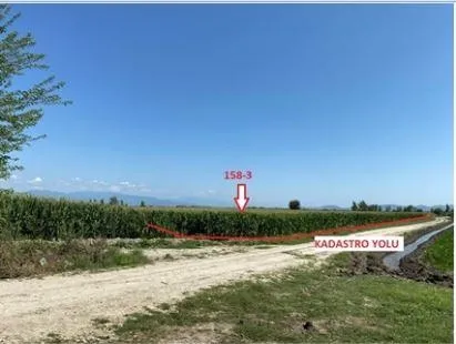 Ziraat Bankası'ndan kelepir ucuz tarlaya yoğun talep başladı! 3.660 TL teminatla satış yapılıyor-6