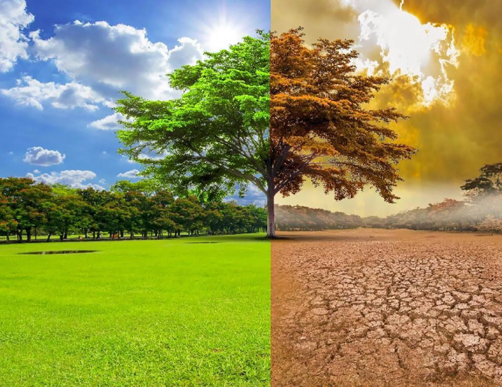 ‘İklim değiştikçe sigortacılık da değişmeli’