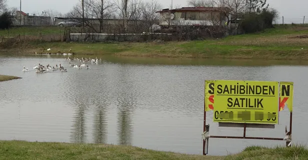 Başakşehir'de sahibinden satılık göl!