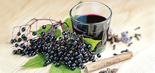 kara-murver-cayi-faydalari-neler-kara-murver-cayi-neye-iyi-gelir-nasil-yapilir-1655729404185.jpg Kara Mürver çayı neye iyi gelir, nasıl yapılır? Kara Mürver çayı faydaları neler?-3
