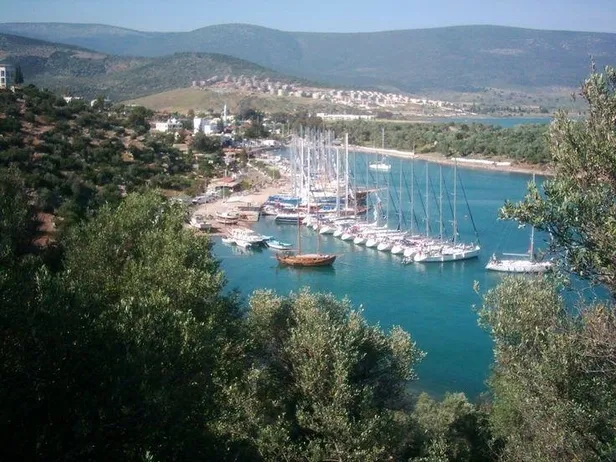 Muğla'da tapu memurunun dikkati 100 milyonluk vurgunu önledi!-2
