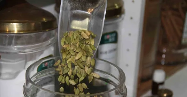 Kakulenin faydaları saymakla bitmiyor: Mideyi rahatlatıyor, böbrekleri koruyor