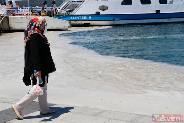 Müsilaj (deniz salyası) ticareti de etkiledi! Balık satışları durdu - 17