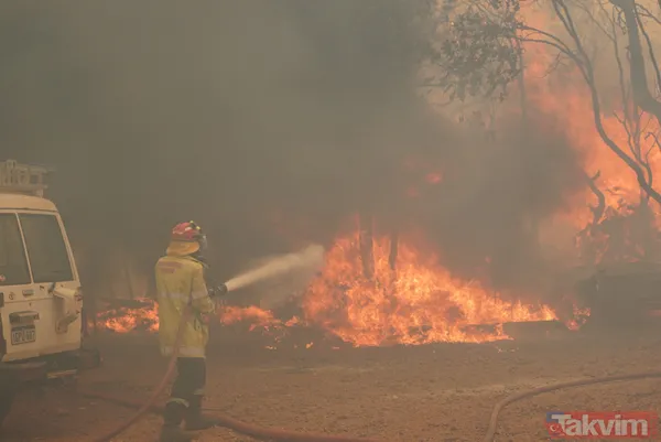 SON DAKİKA: Avustralya'da yangın faciası! 71 ev kül oldu - 4