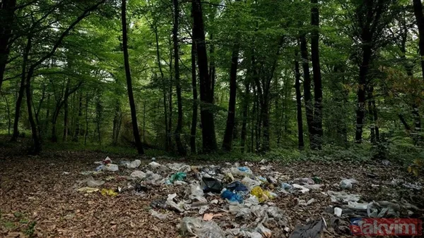 🔴Yanıcı Maddeleri Ormanda Bırakmamak: Plastik, Kağıt Gibi Yanıcı Atıkları Ormanda Bırakmamak, Çöpleri Toplamak.