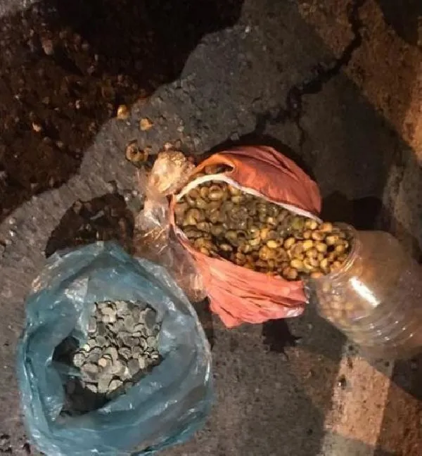 Son dakika: Ardahan'da tarihi eser operasyonu! Zeytin bidonundan çıktılar-3