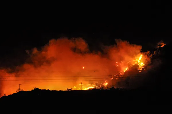 son-dakika-mersinde-orman-yangini-mudahale-2-gunde-suruyor-mersin-antalya-d-400-kara-yolu-ulasima-kapatildi-1662614105603.jpg SON DAKİKA: Mersin'de orman yangını! Sevindiren haber geldi: Yangın kontrol altına alındı-2