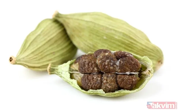 Kakule, Zencefilgiller Ailesinden Elettaria Ve Amomum Cinslerini Kapsayan Bitkilerin Genel Adıdır. Batı Ve Güney Hindistan, Güneydoğu Asya'nın Sıcak...