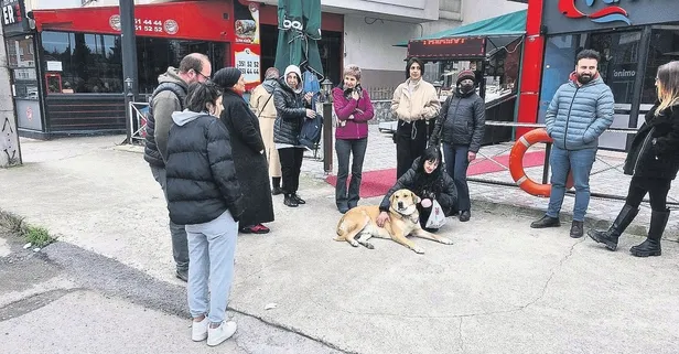 Yok böyle ’Dog’stluk