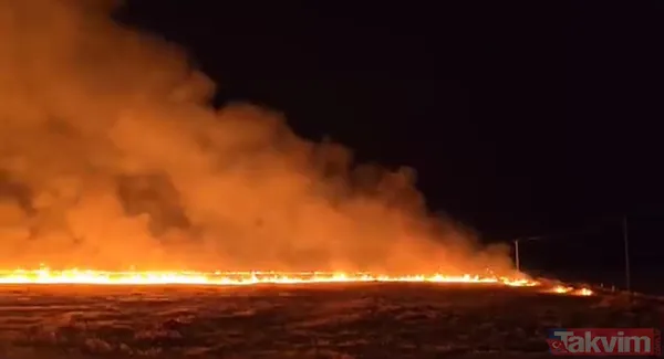 Anız yakma, yaktırma! Tarım ve Orman Bakanı İbrahim Yumaklı'dan çiftçiye 'yangın' uyarısı: Hasatta sigara içme, tarlada çay demleme - 11