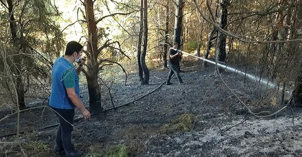 Kastamonu’da çıkan orman yangını, bakanlık ve köylülerin işbirliğiyle kontrol altına alındı