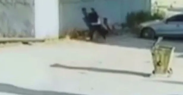 Kız kardeşinin videosunda gördüğü öğrenciyi dövdü