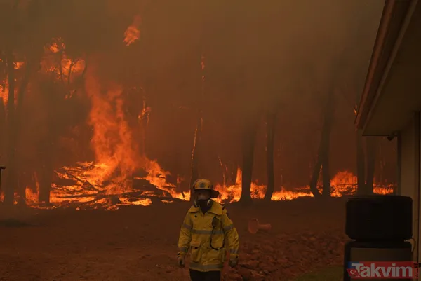 SON DAKİKA: Avustralya'da yangın faciası! 71 ev kül oldu - 23
