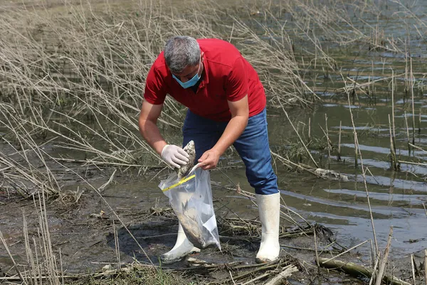 istanbul-il-tarim-ve-orman-mudurlugu-alibeykoy-barajinda-kiyiya-vuran-baliklardan-ve-sudan-numune-aldi-1627235234506.jpg İstanbul İl Tarım ve Orman Müdürlüğü, Alibeyköy Barajı'nda kıyıya vuran balıklardan ve sudan numune aldı-4