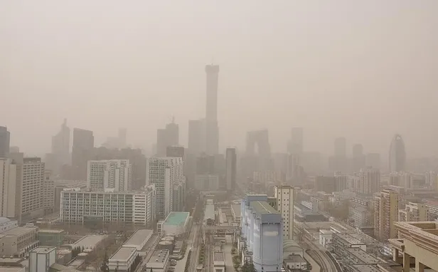 Harvard Üniversitesi'nden çarpıcı araştırma! Dünya genelinde her 5 ölümden birinin nedenine şaşıracaksınız-1