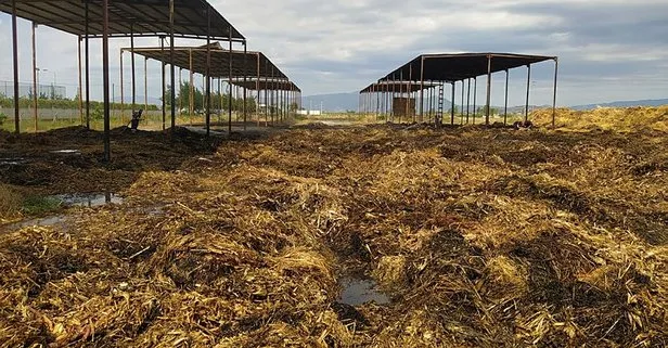 Aydın'da korkutan yangın! 600 ton saman kül oldu