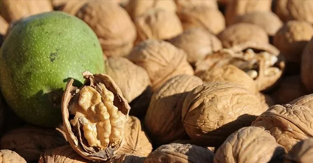 Ceviz zayıflamaya yardımcı