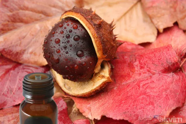 Mucizevi at kestanesi ile tüm hastalıklara savaş açın! Her derde şifa! Ağrıları bıçak gibi kesiyor! - 9