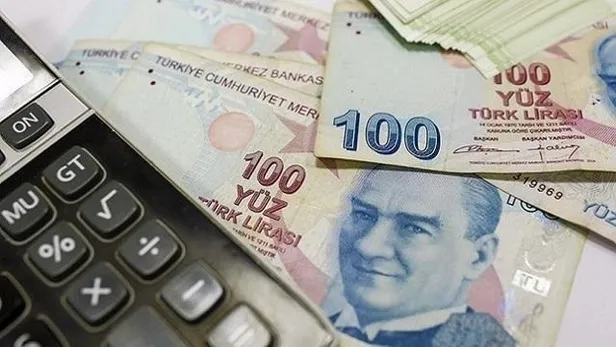 Merkez Bankası, YUVAM hesaplarına ilişkin bilgilendirme sitesini kullanıma açtı-2