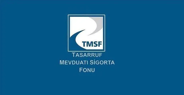 TMSF 4 şirketi satışa çıkardı