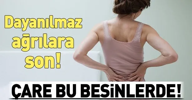 Bobrek Tasina Zeytinyagi Yumurta Takvim
