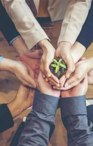 Yeşil Kalkınma Devrimi içeriği ne? Yeşil Kalkınma Devrimi nedir?