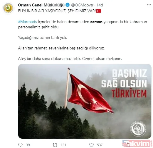 SON DAKİKA! Marmaris'te orman yangını! Acı haber geldi: 1 şehit - 8