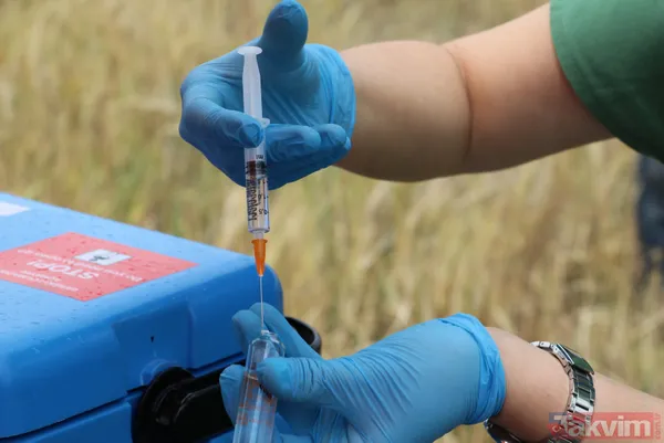 SON DAKİKA: Ankara Polatlı'da çiftçilerin Kovid-19 (koronavirüs) aşısı tarlada yapıldı - 19