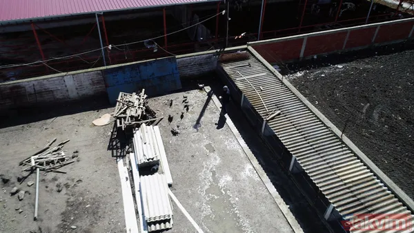 Tanesi 7 TL'ye yumurta! Yere atıldığında bile kolay kolay kırılmıyor - 18