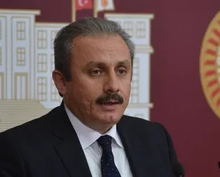 Şentop’tan ‘başkanlık’ açıklaması