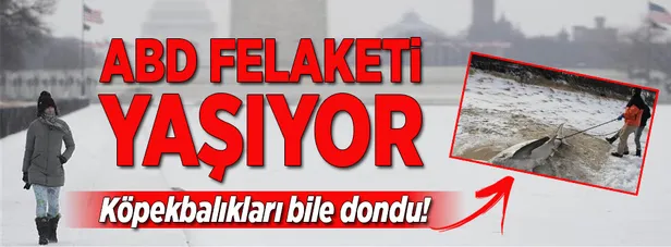 ABD felaketi yaşıyor-1