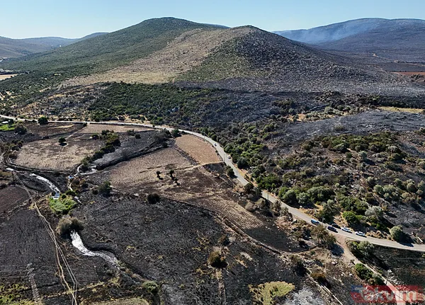 Çeşme yangınında zarar gören alanlar görüntülendi: Her şeyimiz yandı - 23
