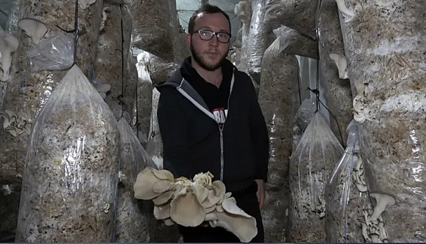 yan-gelir-olsun-diye-adim-atti-parayi-buluyor-iki-odadan-aylik-kazanci-yaklasik-30-bin-lira-1610730445698.jpg Yan gelir olsun diye adım attı parayı buluyor! İki odadan aylık kazancı yaklaşık 30 bin lira...-2