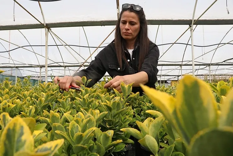 İhracata odaklandı