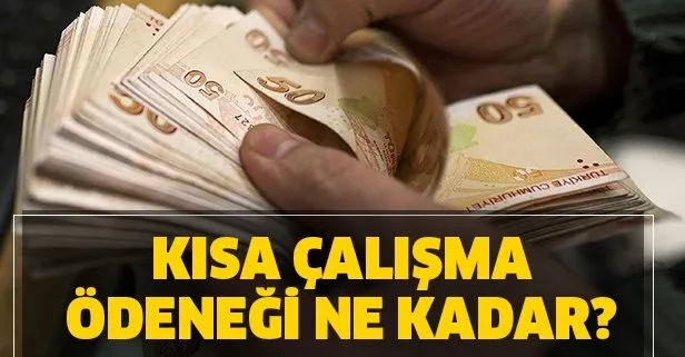 2020 kısa çalışma ödeneği ne kadar oldu?