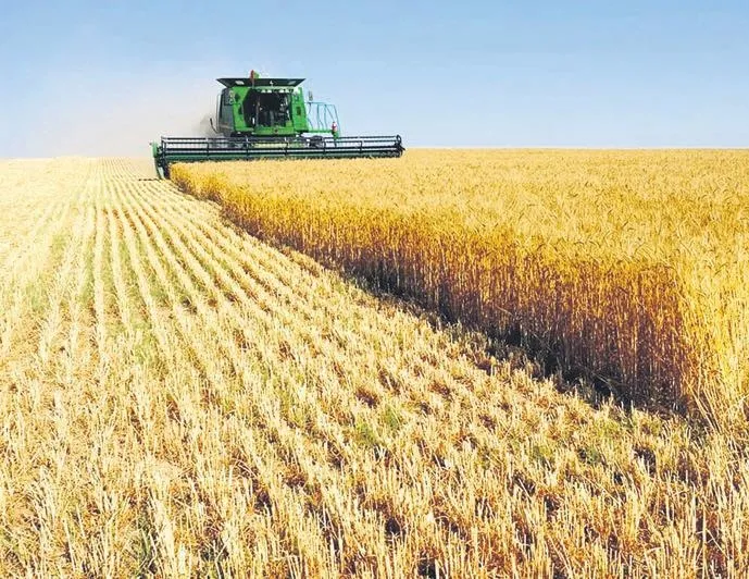 TMO oyunu bozdu çiftçi kazandı