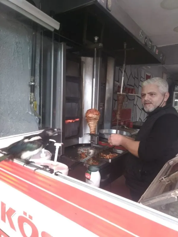 doner-tiryakisi-saksagan-musterileri-donerlerini-yemeden-birakmiyor-1633678783942.jpg