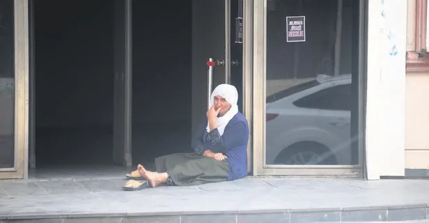 Ana vatan